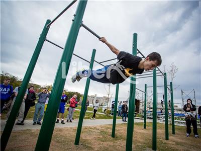 Public Park 6